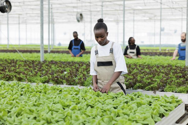 Quelles méthodes d'évaluation continue peuvent remplacer les entretiens annuels de performance?